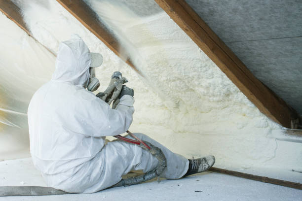 Best Wall Insulation Installation  in Lake Waynoka, OH