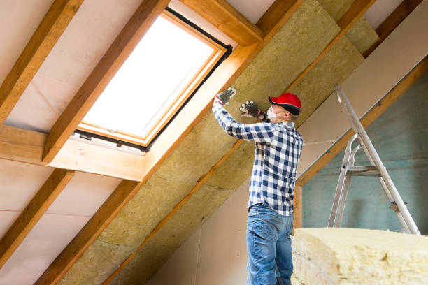 Best Insulation Air Sealing  in Lake Waynoka, OH